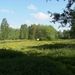 Baasrode Mei 2012 010