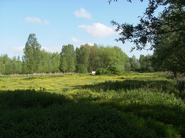 Baasrode Mei 2012 010