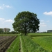 Baasrode Mei 2012 011