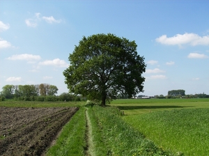 Baasrode Mei 2012 011