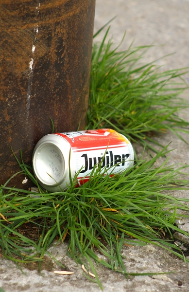 bierblik