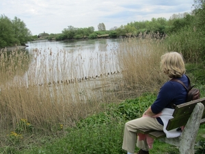 De Schelde