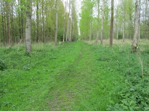 Wandelpad