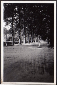 oud175