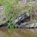 La Roche en Ardenne15