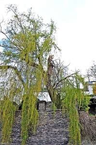 La Roche en Ardenne20