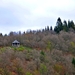 La Roche en Ardenne24