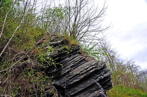 La Roche en Ardenne59