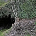 La Roche en Ardenne62