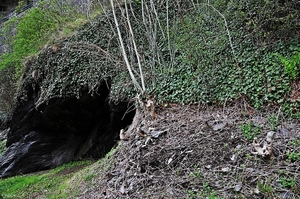 La Roche en Ardenne62