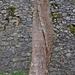 La Roche en Ardenne63