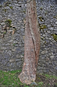 La Roche en Ardenne63