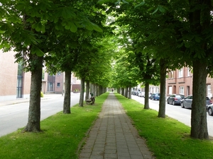 2012-05-17 Zottegem 012