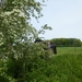 2012-05-17 Berthen 008