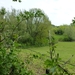 2012-05-17 Berthen 020