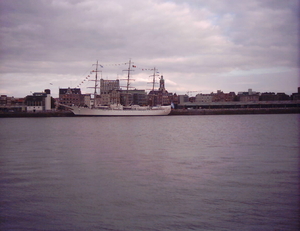 de schelde