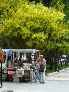 P1010990