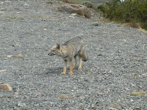 P1020039