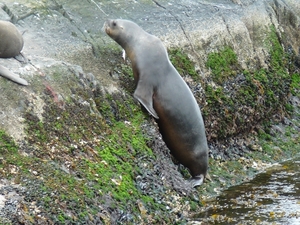P1020452