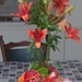 Foto0120