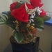 Foto0125