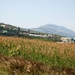 041 Kos Mei 2012 - wandeling 1 - ecologisch pad