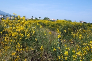 045 Kos Mei 2012 - wandeling 1 - ecologisch pad