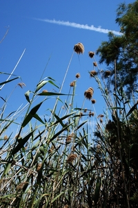 048 Kos Mei 2012 - wandeling 1 - ecologisch pad