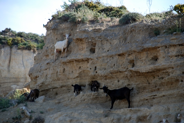 053 Kos Mei 2012 - heuvelwandeling met Ellen