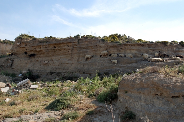 054 Kos Mei 2012 - heuvelwandeling met Ellen