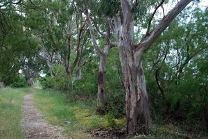 092 Kos Mei 2012 - wandeling 2 ecologisch pad