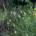 094 Kos Mei 2012 - wandeling 2 ecologisch pad