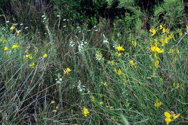 094 Kos Mei 2012 - wandeling 2 ecologisch pad
