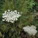 111 Kos Mei 2012 - wandeling 2 ecologisch pad