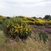 112 Kos Mei 2012 - wandeling 2 ecologisch pad