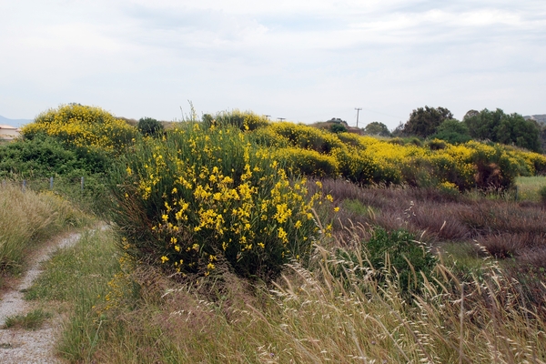 112 Kos Mei 2012 - wandeling 2 ecologisch pad