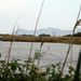 120 Kos Mei 2012 - wandeling 2 ecologisch pad
