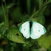 124 Kos Mei 2012 - wandeling 2 ecologisch pad