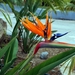 131 Kos Mei 2012 - wandeling 2 ecologisch pad