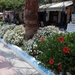 425 Kos Mei 2012 - boottocht Kalymnos