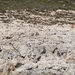 472 Kos Mei 2012 - boottocht Pserimos