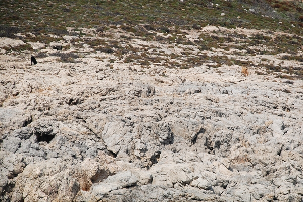 472 Kos Mei 2012 - boottocht Pserimos