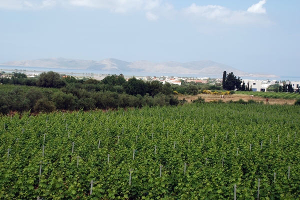 586 Kos Mei 2012 - busrit - wijnproeverij