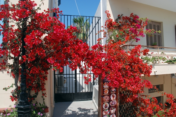 701 Kos Mei 2012 - Kos stad