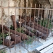 717 Kos Mei 2012 - Kos fort