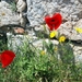 744 Kos Mei 2012 - Kos fort