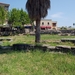 773 Kos Mei 2012 - Kos ancient agora
