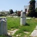774 Kos Mei 2012 - Kos ancient agora