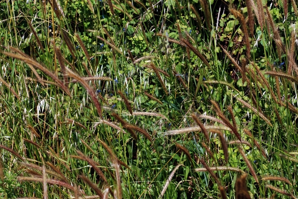 830 Kos Mei 2012 - wandeling 3 ecologisch pad