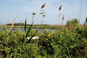 834 Kos Mei 2012 - wandeling 3 ecologisch pad